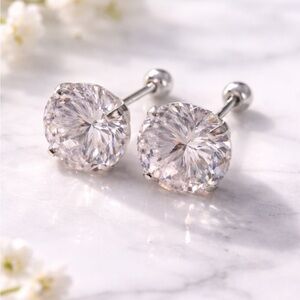 Elegant Silver Stud Earrings plate